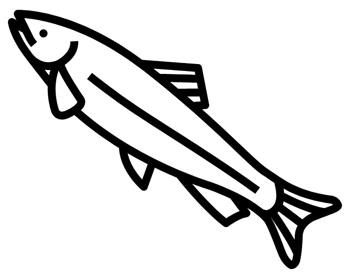 Truite