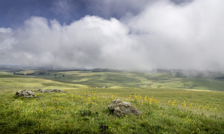 Plateau de l'Aubrac - Crédit photo B. Calendini