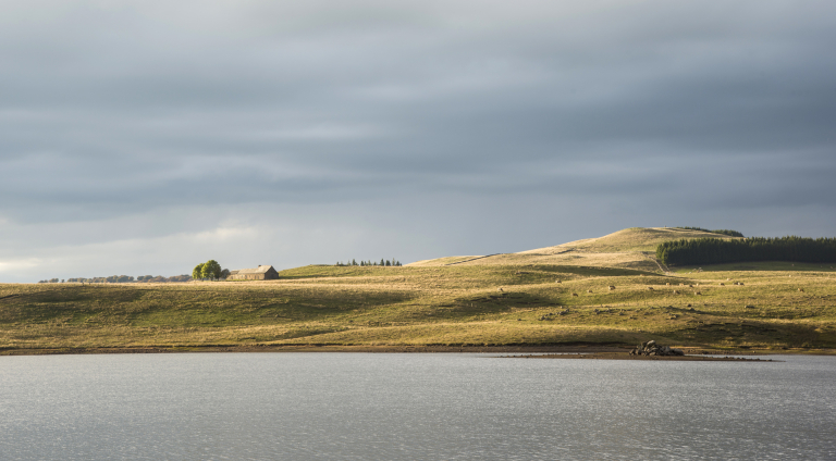 Le haut plateau de l'Aubrac Parc naturel régional de l'Aubrac