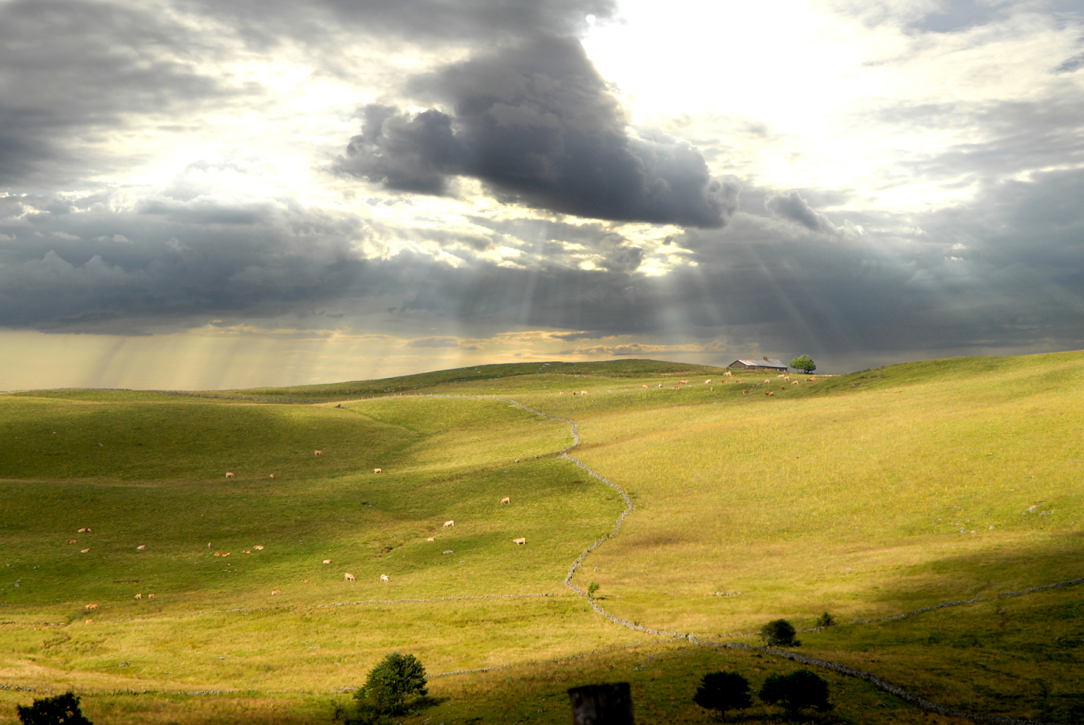 Lumière sur le haut plateau de l'Aubrac