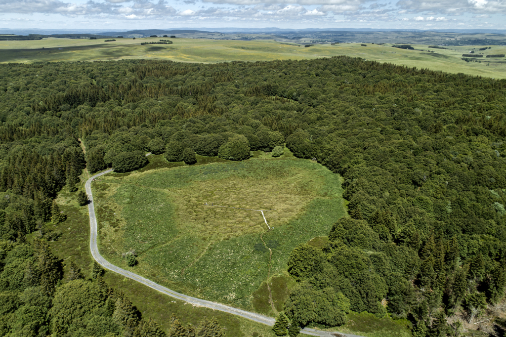 Tourbière sur l'Aubrac