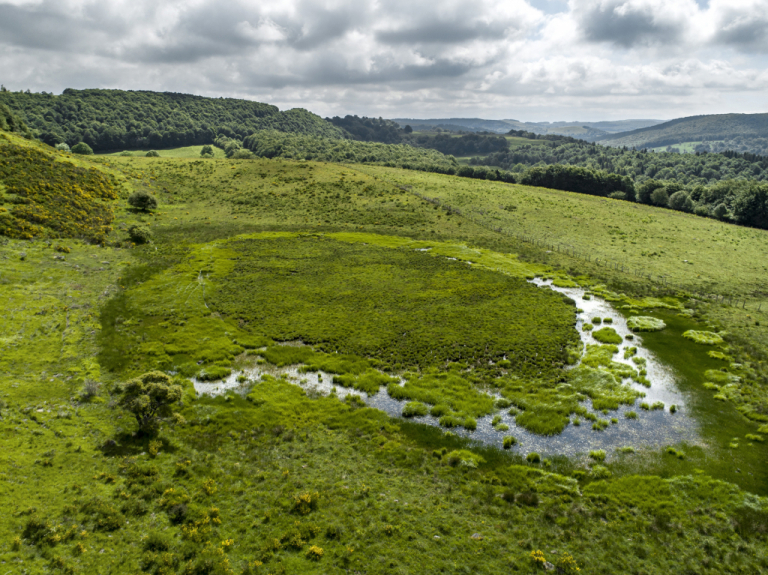 Zone humide sur l'Aubrac- Bruno Calendini