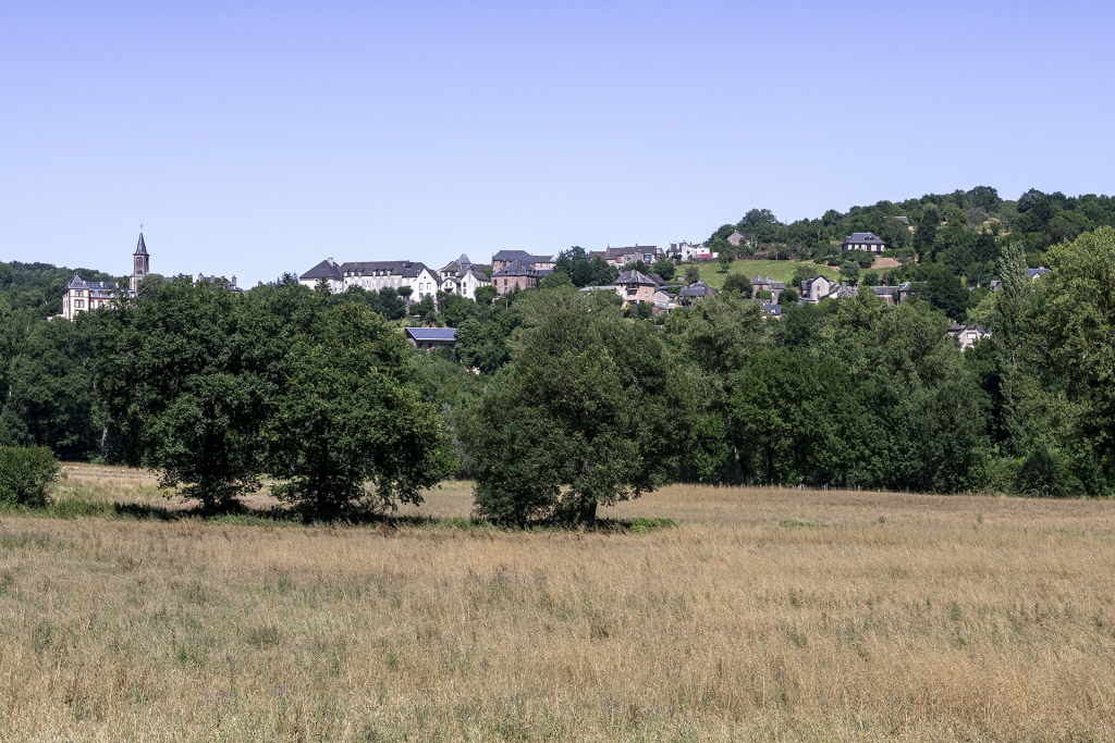 Arbre champêtre