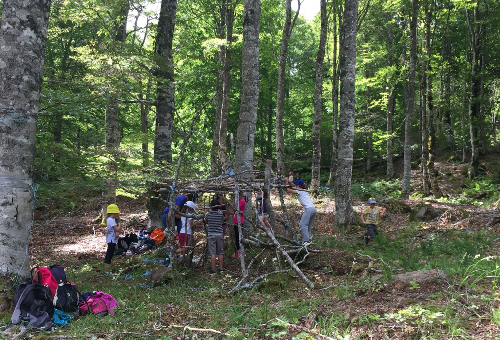 La forêt s'invite - Programme d'actions éducatives