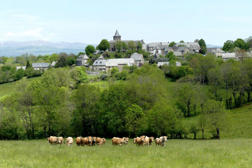 Hameau de Vines - OT Tourisme Aveyron