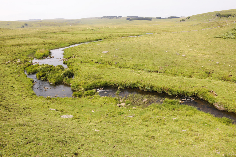 Cours d'eau sur le haut plateau ouvert de l'Aubrac - Jean-Denis Auguy