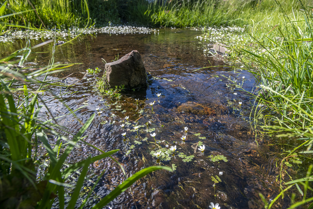 Observatoire de l'eau en Aubrac