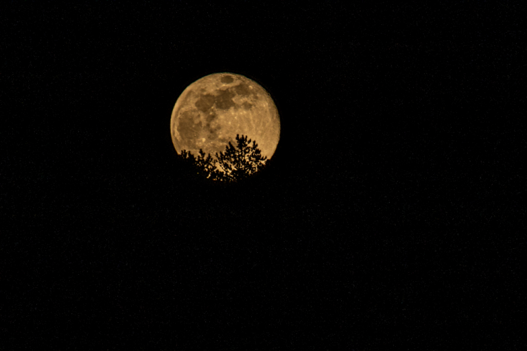 Pleine lune sur l'Aubrac - Crédit photo Francis Rouffiac