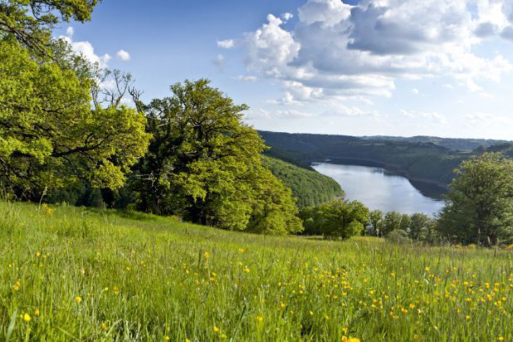 Lac de Sarrans