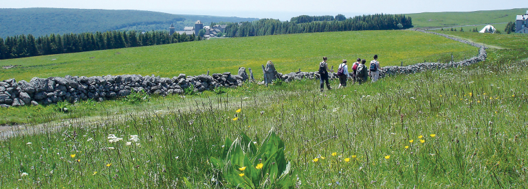 Randonnée à Aubrac