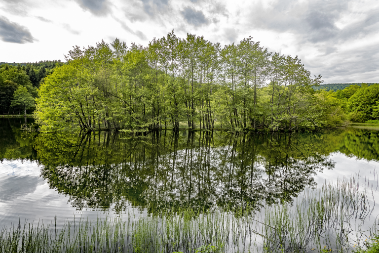 Les ressources du Parc naturel régional de l'Aubrac - B. Calendini