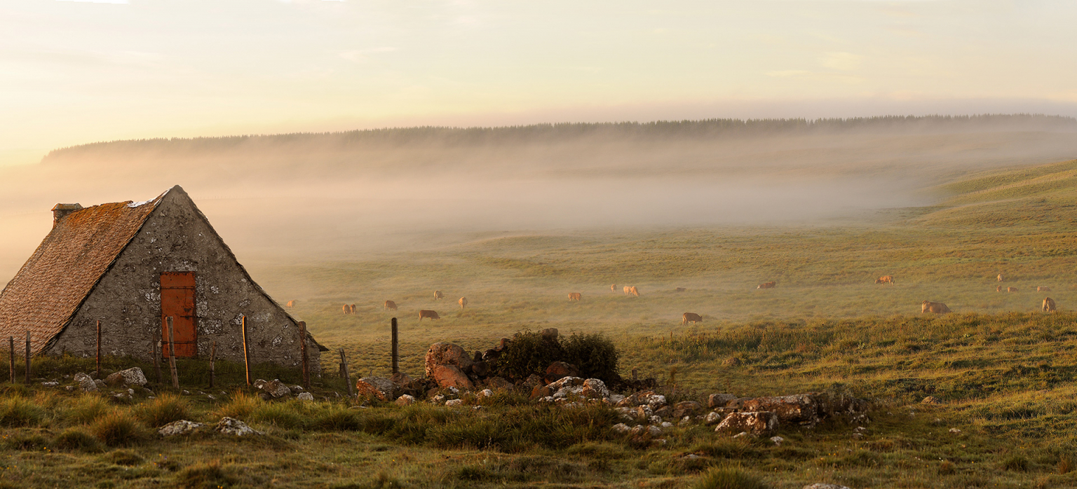 Buron de l'Aubrac dans la brume - JD Auguy