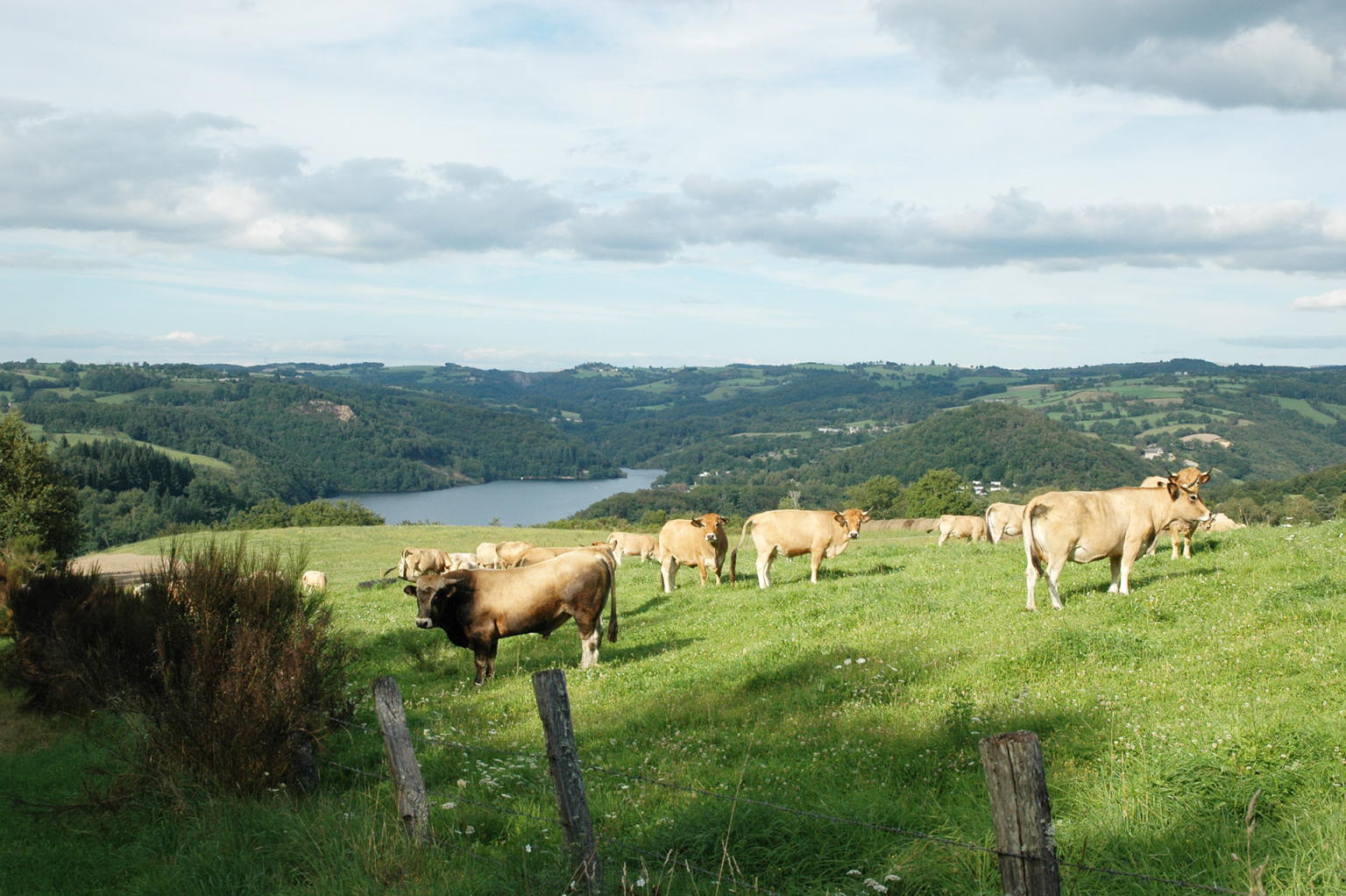 Paysage de Viadène - R. Saurel OT Aubrac Laguiole Carladez Viadène