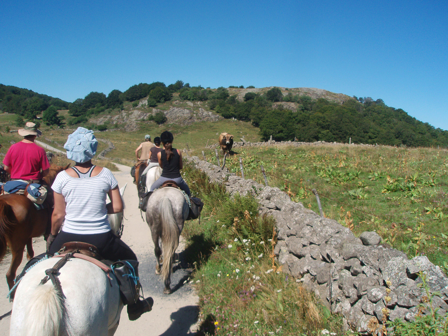 Randonnée à cheval sur l'Aubrac - OT Aubrac Laguiole