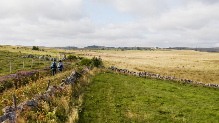 Randonnée en Aubrac - Hipolito