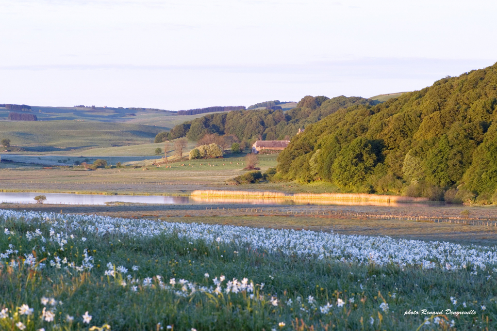 Lac de Salhiens - R. Dengreville - OT Aubrac Lozérien