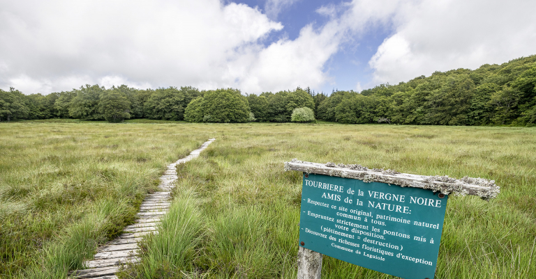 Sentier d'interprétation de la Vergne noire - B. Calendini