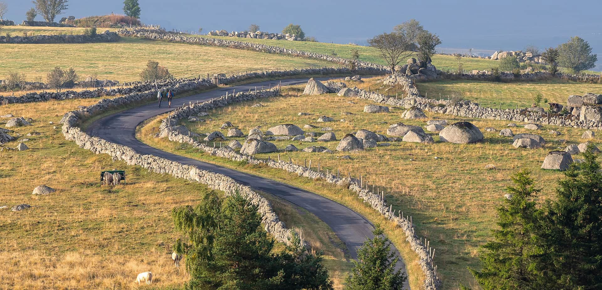 Saint Jacques de Compostelle en Aubrac - Benoit Colomb - PACT Aubrac
