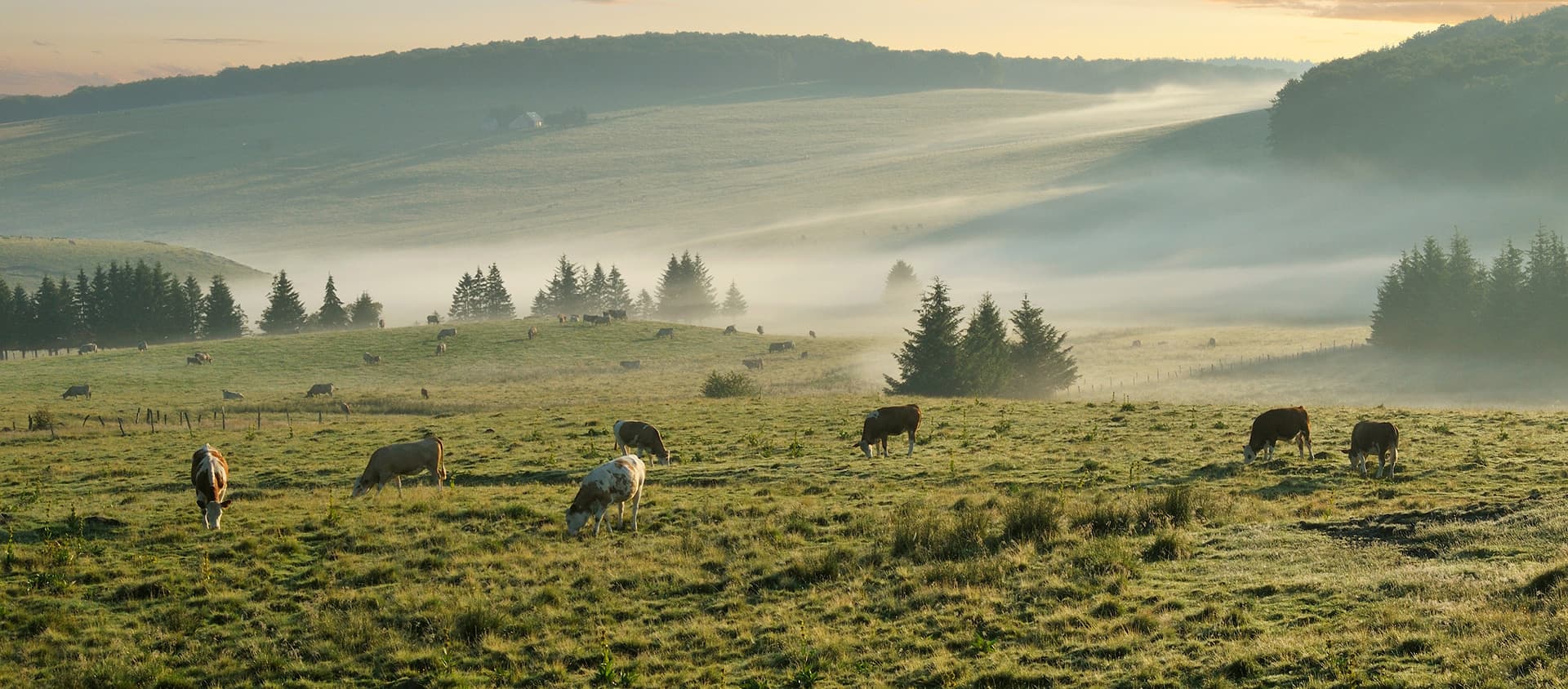 Paysage de l'Aubrac - André Méravilles