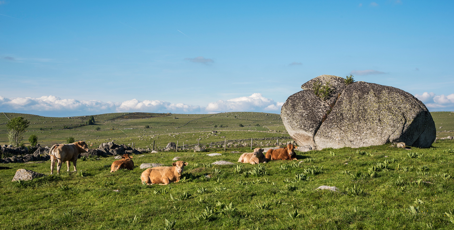 Bloc granitique sur l'Aubrac - André Méravilles