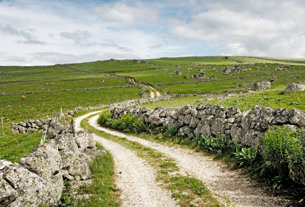 Haut plateau de l'Aubrac - André Méravilles