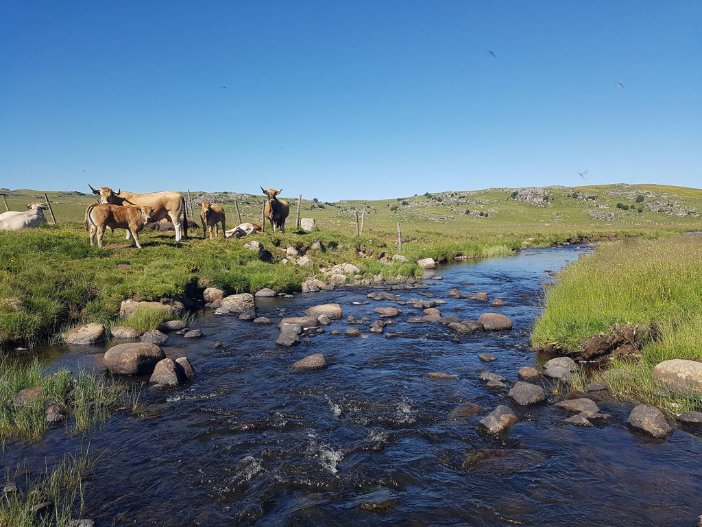 Le Bès près de Marchastel - PNR Aubrac