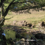 PPG Argence Selves - Erosion de berge sur Les Vergnes - PNR Aubrac