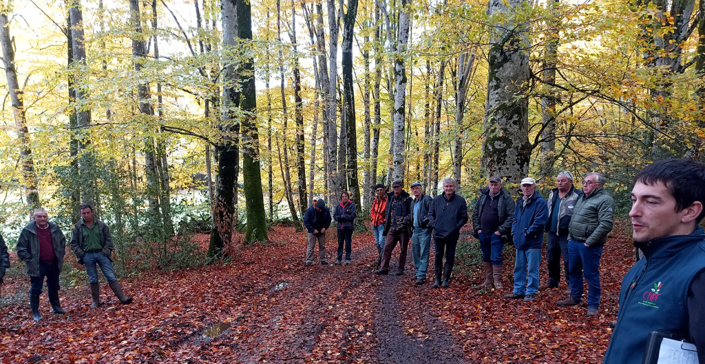 Réunion d'information sur le gestion des forêts en Aubrac - CNPF