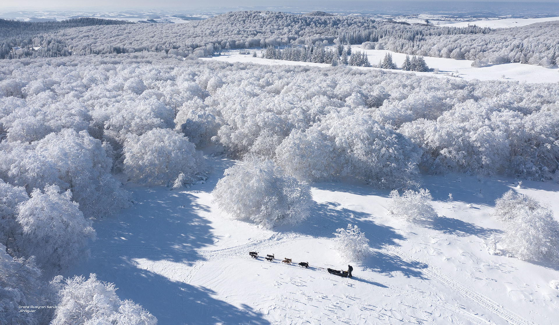 Chiens de traineau sur l'Aubrac - JP Viguier