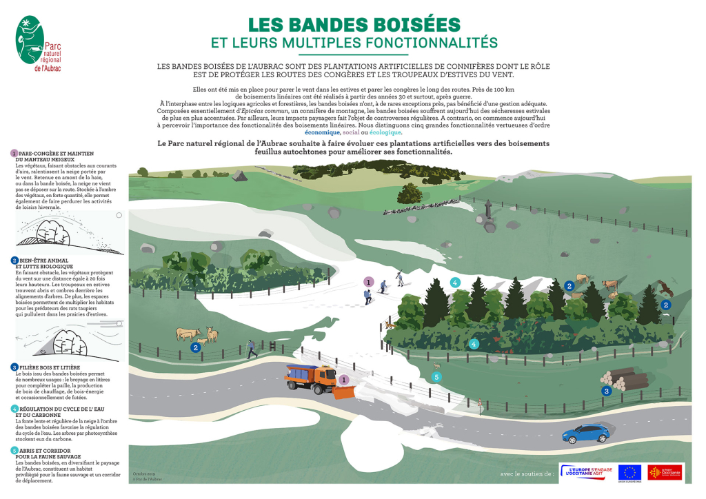 Affiche de présentation d'une Bande boisée - Rémy Teyssèdre - PNR Aubrac