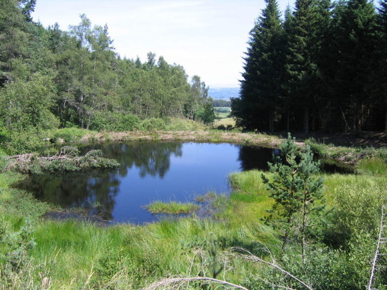 Puy de la Tuile - PNR Aubrac