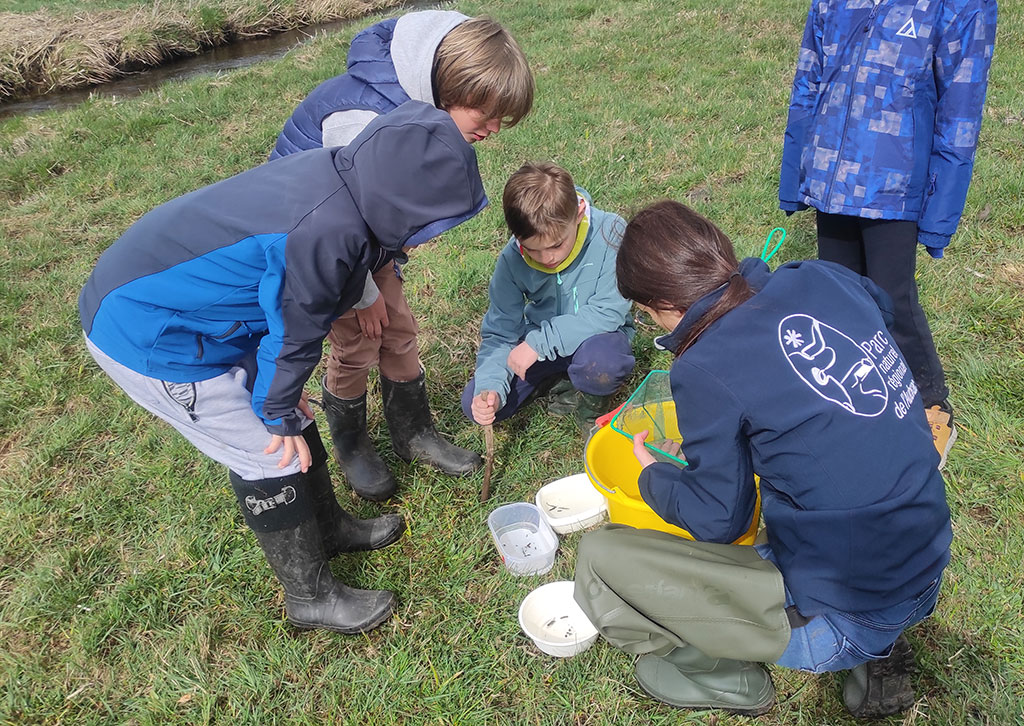 Au fil de l’eau avec les élèves de CE et de CM de l’école de Saint Urcize - PNR Aubrac