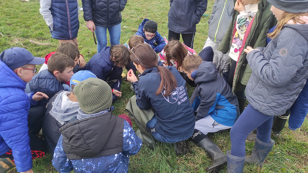 Au fil de l’eau avec les élèves de CE et de CM de l’école de Saint Urcize - PNR Aubrac