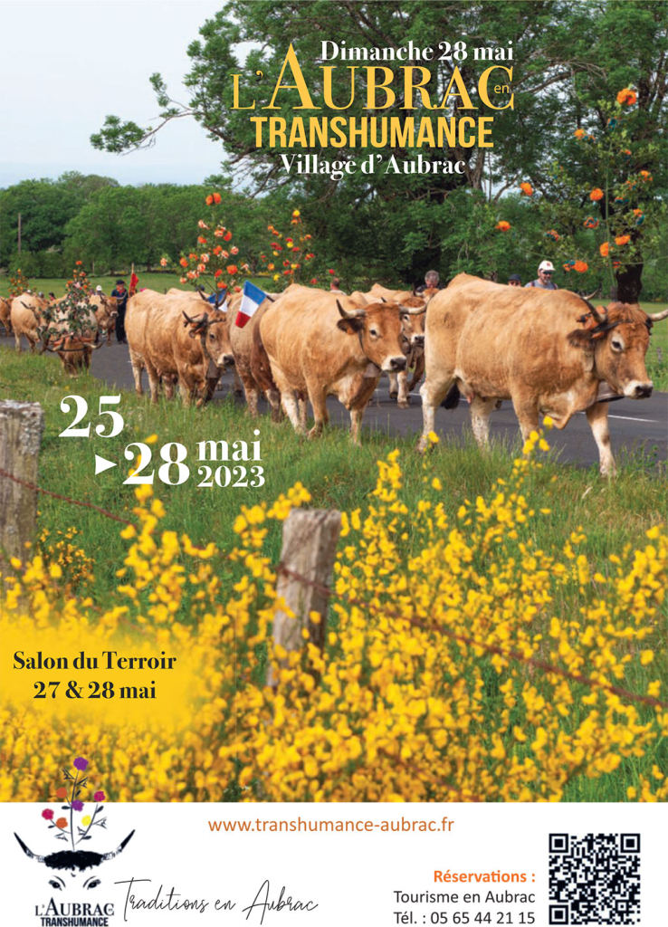 L'Aubrac en Transhumance - Traditions en Aubrac