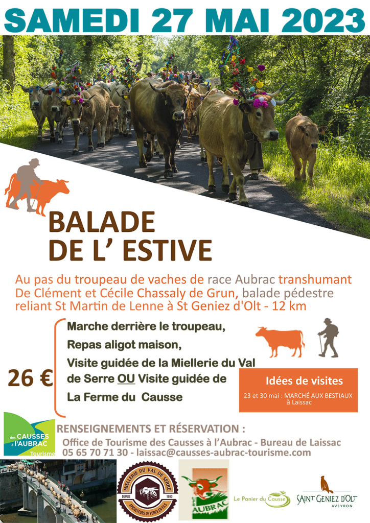 Balade derrière un troupeau pour la montée en Estive