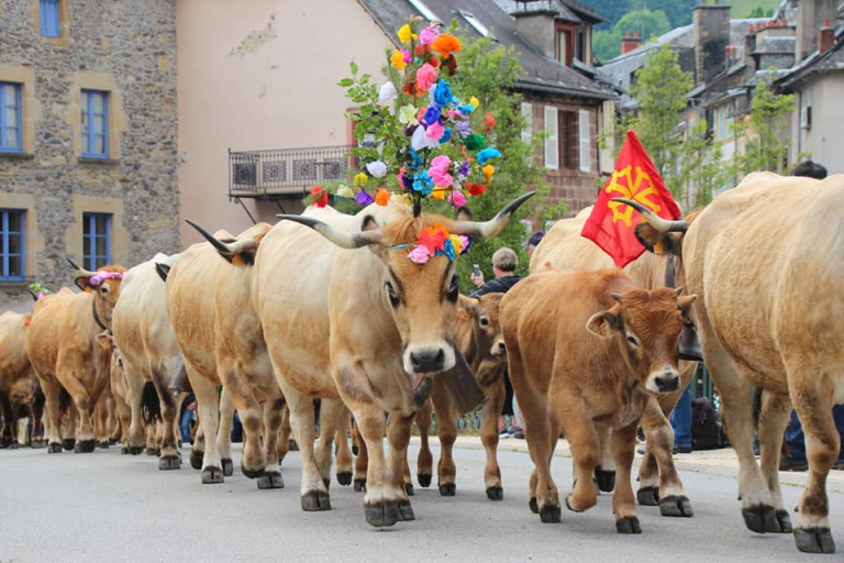 La transhumance de Saint Geniez d'Olt et d'Aubrac - Charles Bourianne