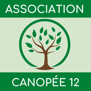 Canopée