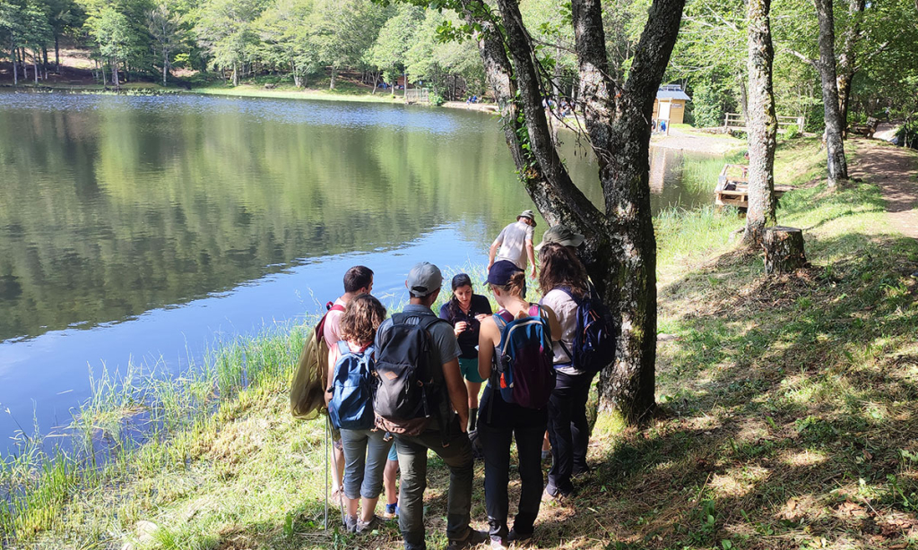 20230708 - Sortie Libellule au Lac des Picades - PNR Aubrac