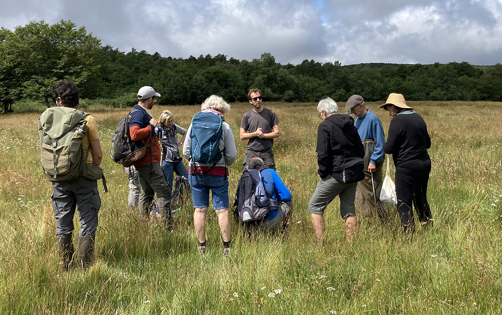 Une sortie à la découverte des papillons de l'Aubrac - PNR Aubrac