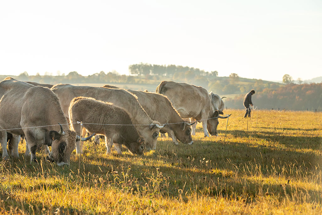 B. Colomb - PACT Aubrac