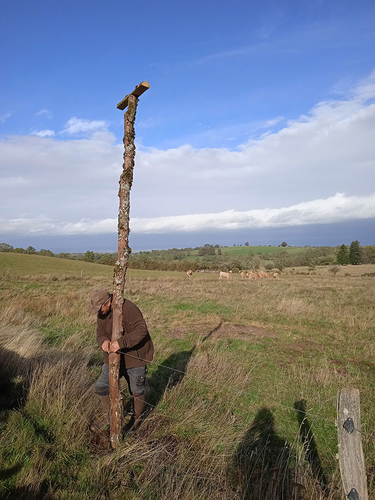 Installation de perchoirs à rapaces à Vitrac, Argences et Cantoin - PNR AUbrac