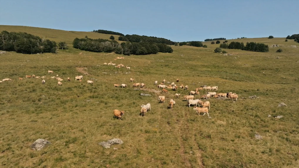 « Maintenir la qualité écologique du territoire » - PNR Aubrac