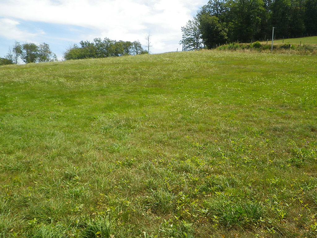 Prairie haute vallée du Lot - Pierre Olivier Cochard