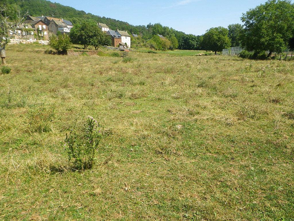 Prairie haute vallée du Lot - Pierre Olivier Cochard