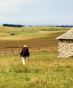 Projection et échanges : Éleveurs d’horizons, le pastoralisme à l’épreuve du temps