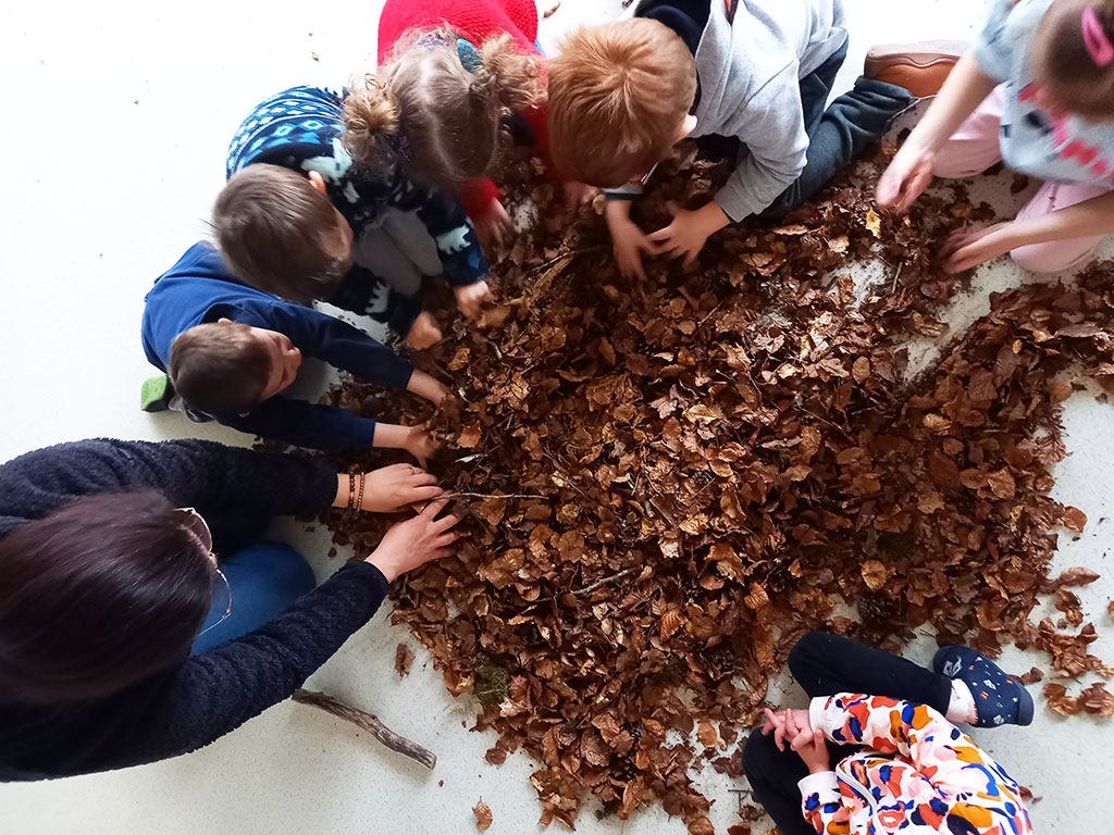 A l’école publique de Saint Chély d’Apcher, on crée une comptine pour la forêt