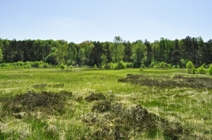 Remontons le temps à l’époque glaciaire