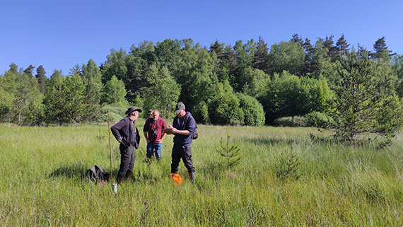Pose de piezomètres à la tourbière de la Vergne des Mazes - PNR Aubrac