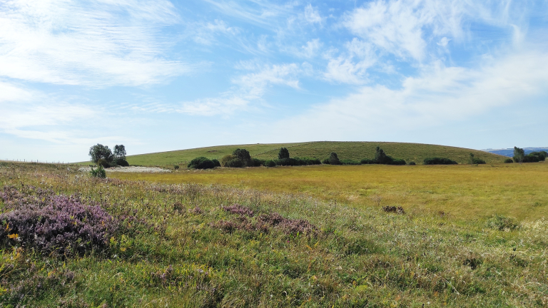 Tourbière des Roustières - PNR Aubrac