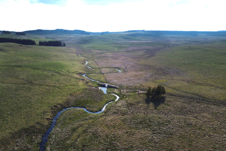 Ruisseau de Place Naltes - PNR Aubrac